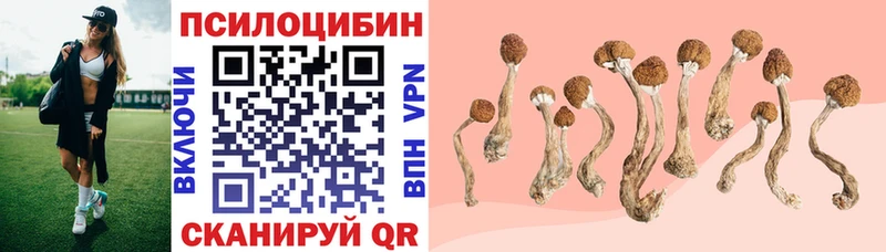 Галлюциногенные грибы мицелий  Приволжский 